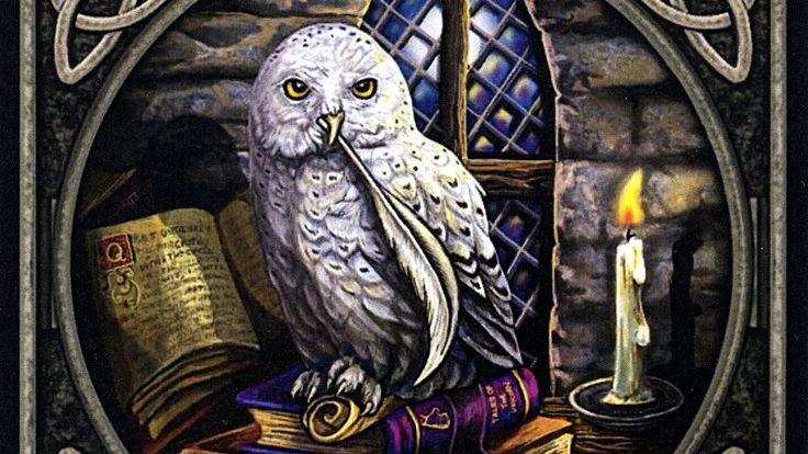 Кто за вами следит и зачем? Расклад на 3 варианта