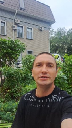 Сегодня международный день защиты тигра