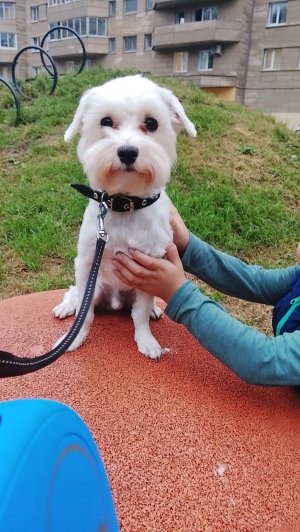 не писать ничего такого опасного