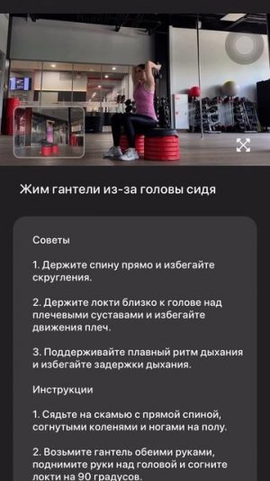 Жим гантели из за головы сидя