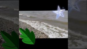 Финский залив