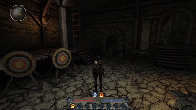 Divinity II: Developers Cut: Пугливые стражники серия 3