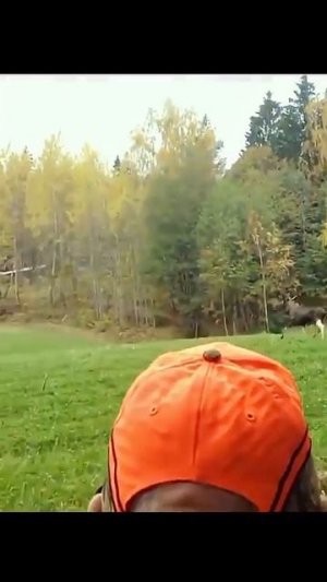 Охота на Лося 🦌🎯