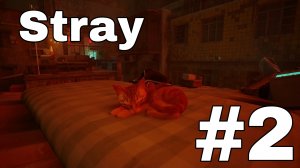 Прохождение Stray #2