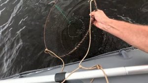 рыбалка 28.07.25. Часть 1.