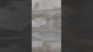 1000014804.mp4