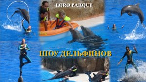 ШОУ ДЕЛЬФИНОВ в ЛОРО-ПАРКЕ (как это выглядит сейчас и каким это Шоу было 20 лет назад). Тенерифе