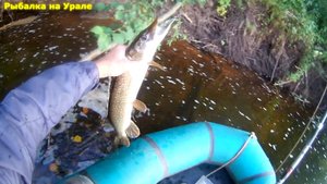Рыбалка с лодки. Ловим щуку на спиннинг. Сплав по р.Каква