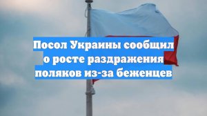 Посол Украины сообщил о росте раздражения поляков из-за беженцев