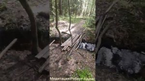 Медитация Роберт Адамс