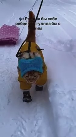 В ужасную духоту и  жару позитивчика из зимней прохлады в ваш дом!