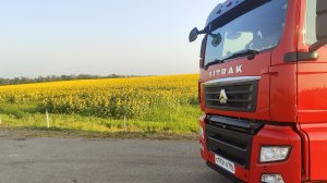 Магнит категория С ЗП за июнь жара продолжается