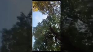 Geely Monjaro говорят это Вольво 😄