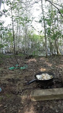 УРУН НАШЕЙ ГОТОВНОСТИ! #shorts #рыбалка #fishing #рыба #fish #эдвардкосичка #природа #nature #отдых