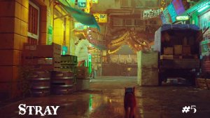Мидтаун | Stray | #5