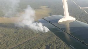 Сергей Ситников поручил усилить профилактику лесных пожаров