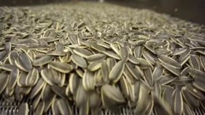 ПЕЧЬ ЭЛЕКТРИЧЕСКАЯ ТУННЕЛЬНАЯ ЖАРИТЬ СЕМЕЧКИ ОРЕХИ HT-50