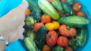 ВЫЖИВАЕМ КАК МОЖЕМ🙈 Дела Домашние 🦋🐝🍀