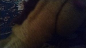 ЗУХАМИМУС ПРОТИВ СПИНОЗАВРА #8