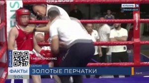 Кубанские юные боксеры привезли четыре золотых медали с первенства Европы
