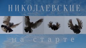 Разминка перед полётом.