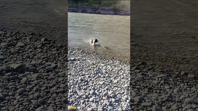 1000122724.mp4