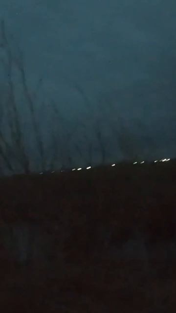 Весенний селезень подлетел к чучелам. #охотанаселезня #охотникнавека #duckhunting #hunting смотреть онлайн