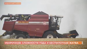 Уборка зерновых и зернобобовых в Ростовской области на финишной прямой