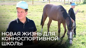 Новая жизнь для конноспортивной школы