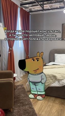 В магазинах Hoff легко почувствовать себя как дома  #hoff #chillguy