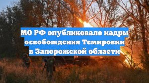 МО РФ опубликовало кадры освобождения Темировки в Запорожской области