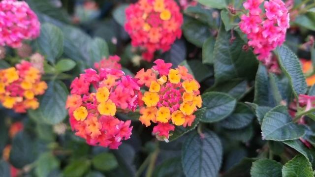 Сочи Адлер 3 ноября 24 года смотреть онлайн