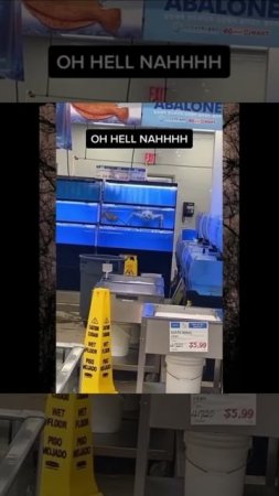 Подборка странных неизвестных животных, найденных в разных уголках мира