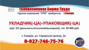 29.07.25г. в 07.27 на телеканале РОССИЯ-24 Телевизионная Биржа Труда в Самаре и Самаркой области