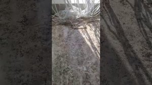 всем Добрый день 😊