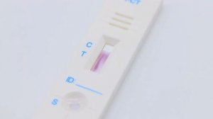 Быстрые тесты для животных: Диагностика заболеваний за 15 минут | Babio