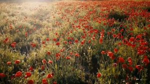 для хорошего настроения