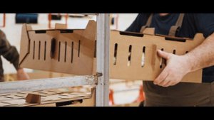 Лениногорская птицефабрика ХК "Чистополье"