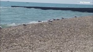 Сочи Адлер пляж Южный сегодня 29 июля 2025. Море и погода в Адлере сейчас. Обстановка на пляже