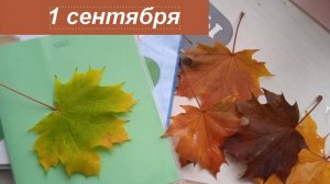 Первое сентября школьники Андроповского округа встретят в новой школе