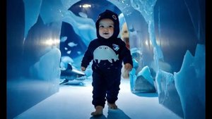 аквариум в антарктиде