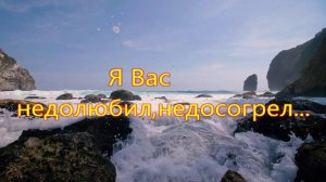 Я Вас недолюбил,недосогрел...