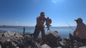 Рыбалка с батей на заливе | Фидер на дамбе