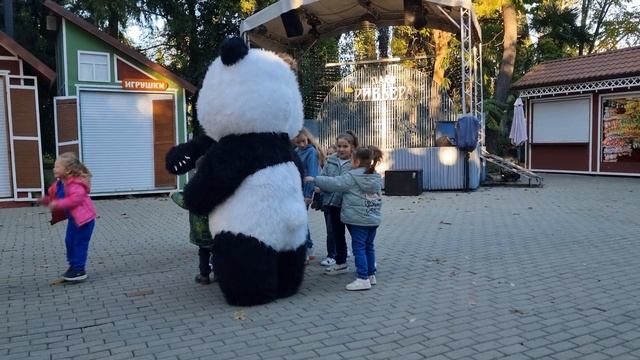 Сочи парк Ривьера 26 октября 24 года смотреть онлайн