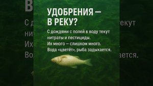 Эта проблема очень актуальна в наше время. Берегите природу.