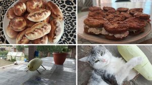 Напекла пирожков. Ракетные опасности ⚠️. Уборка в доме.