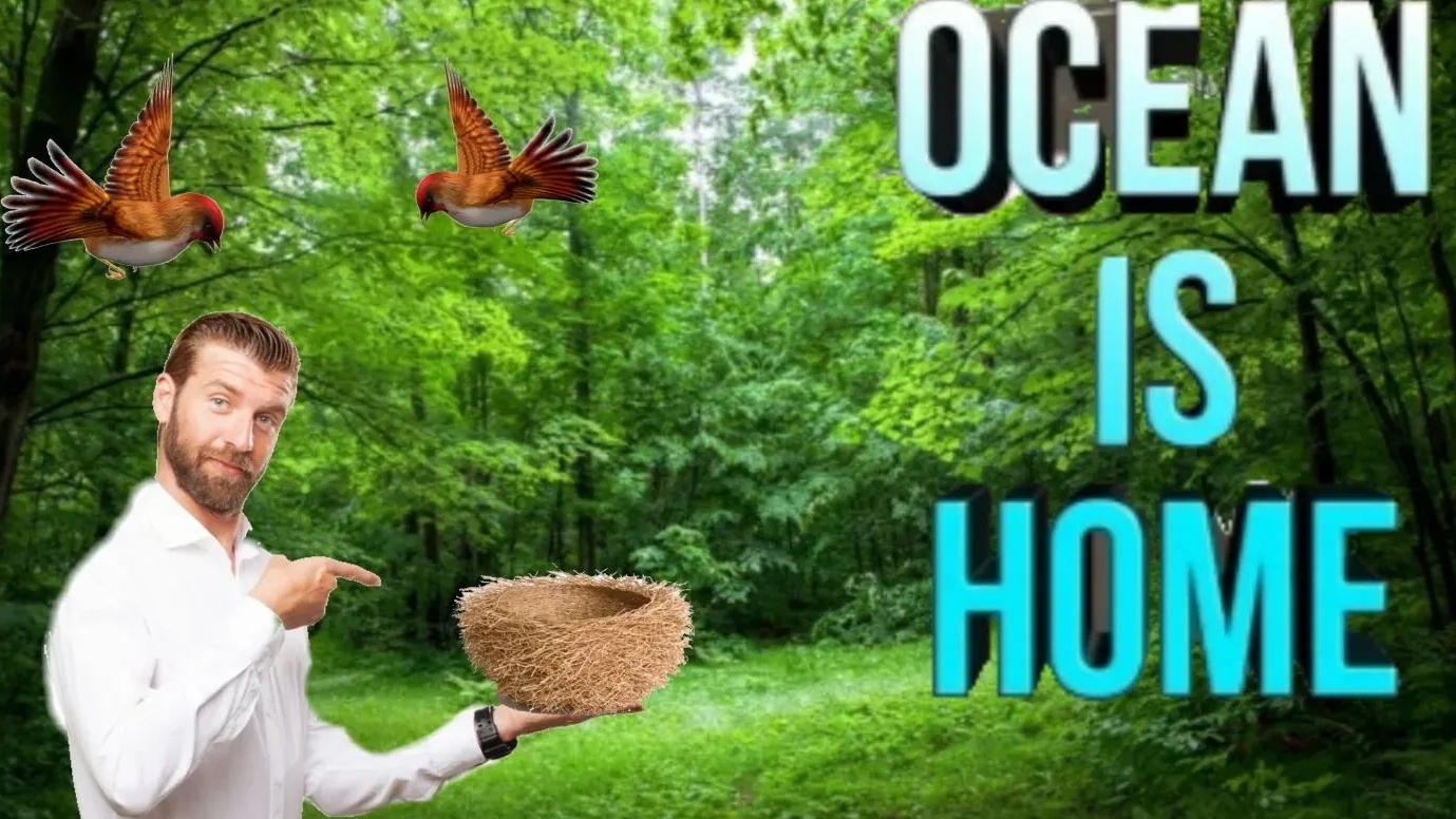 Играю в Ocean is home часть 1