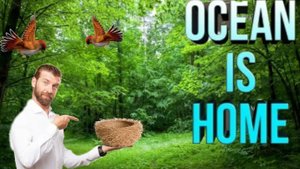 Играю в Ocean is home часть 1
