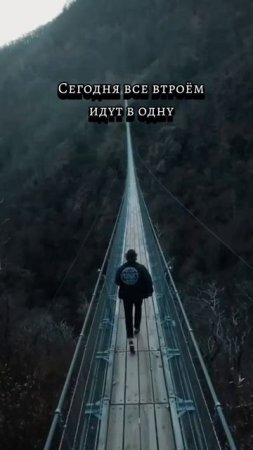 тенденции дня