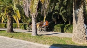 Гагра 3 января 25 года